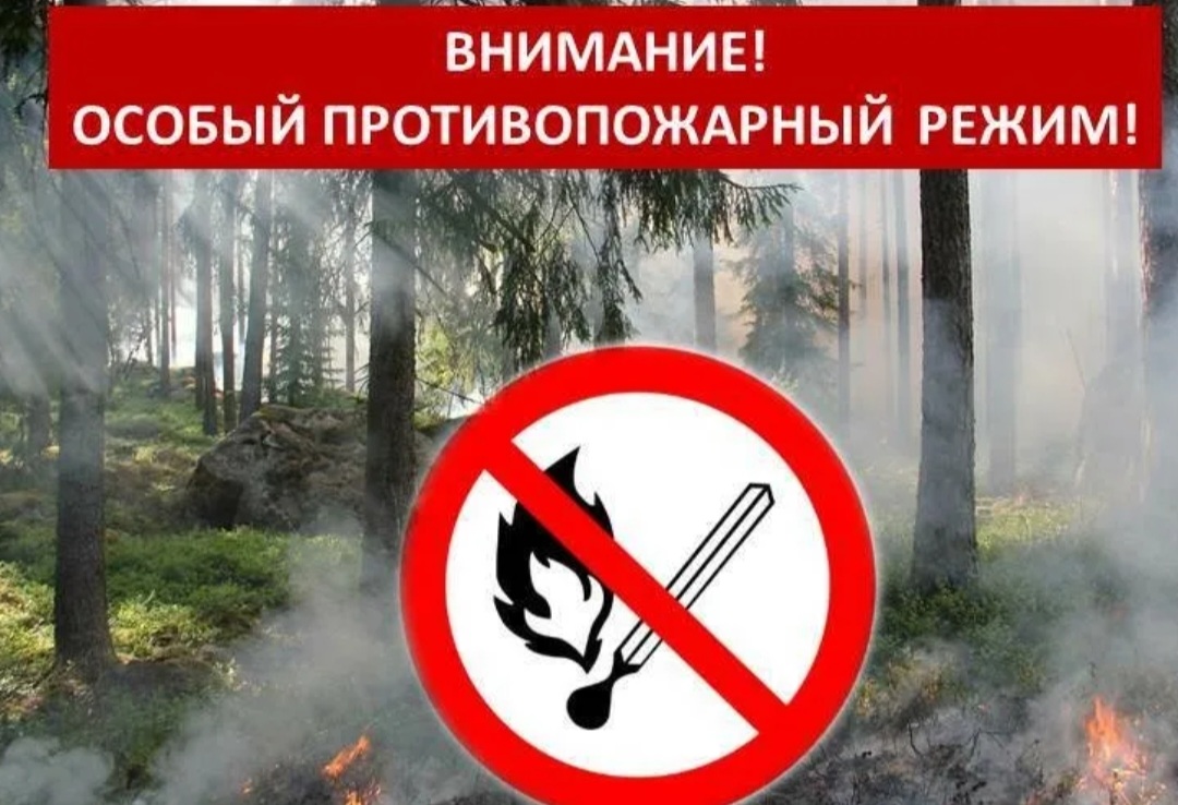 Screenshot 20230411 144319 Mail